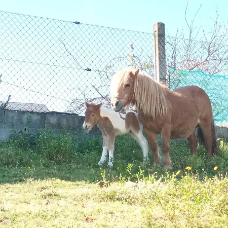 Casa Romina I Σπίτι διακοπών *