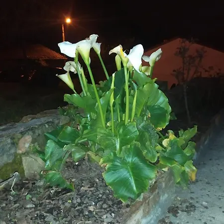 Σπίτι διακοπών Casa Romina I *