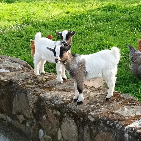 Casa Romina I * Santa María